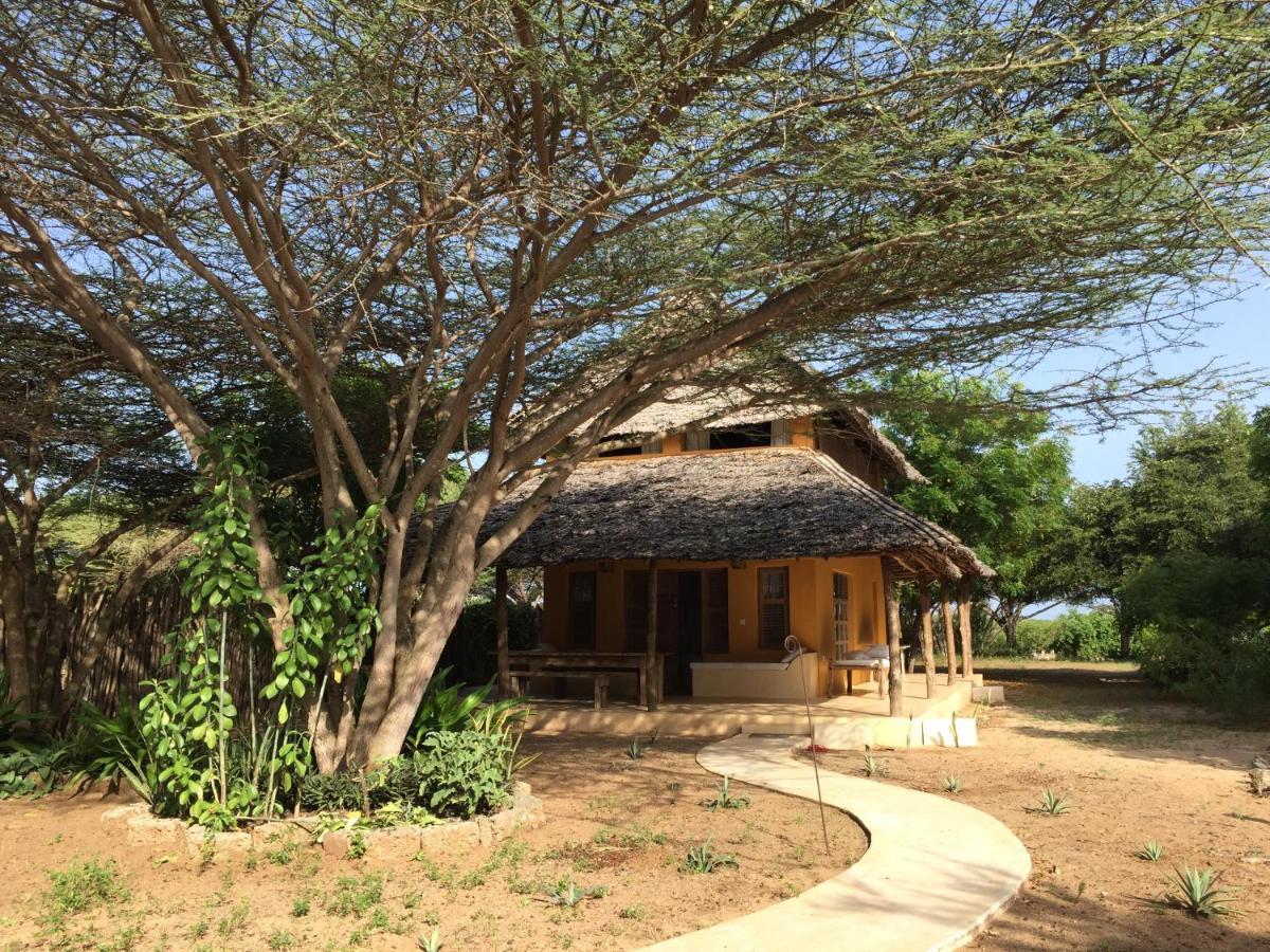 Mangrove House Hotell Lamu Exteriör bild