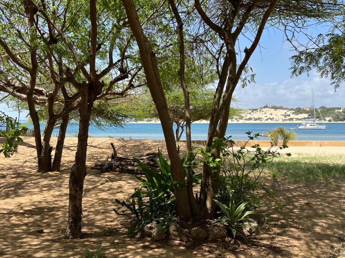 Mangrove House Hotell Lamu Exteriör bild