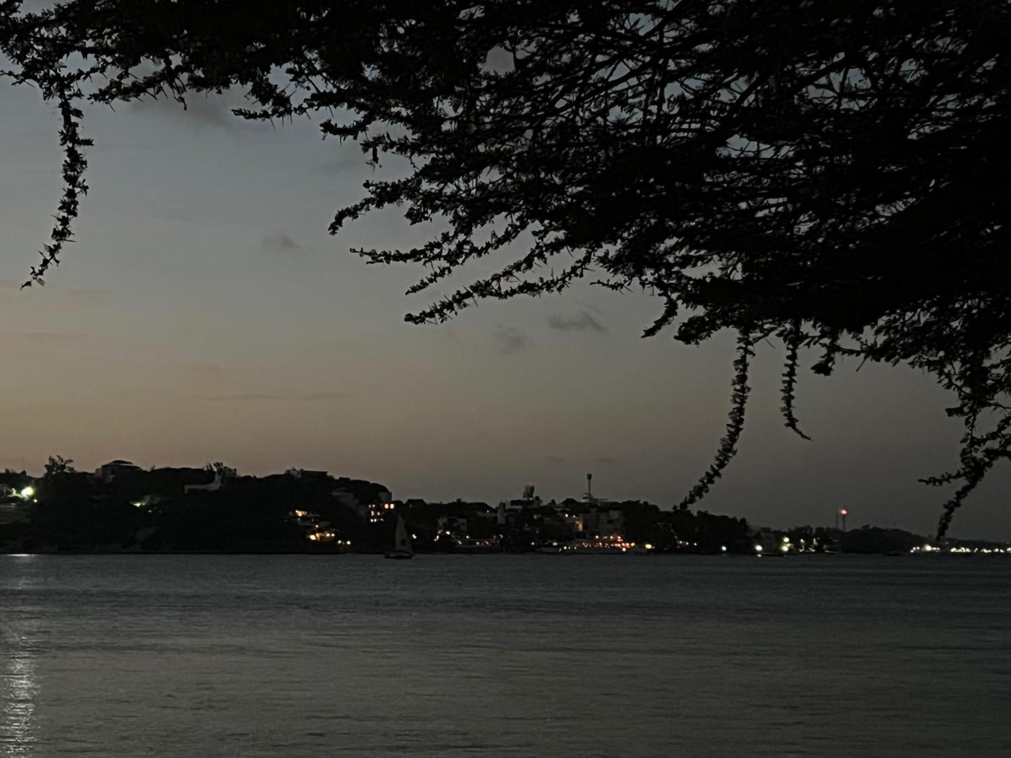 Mangrove House Hotell Lamu Exteriör bild