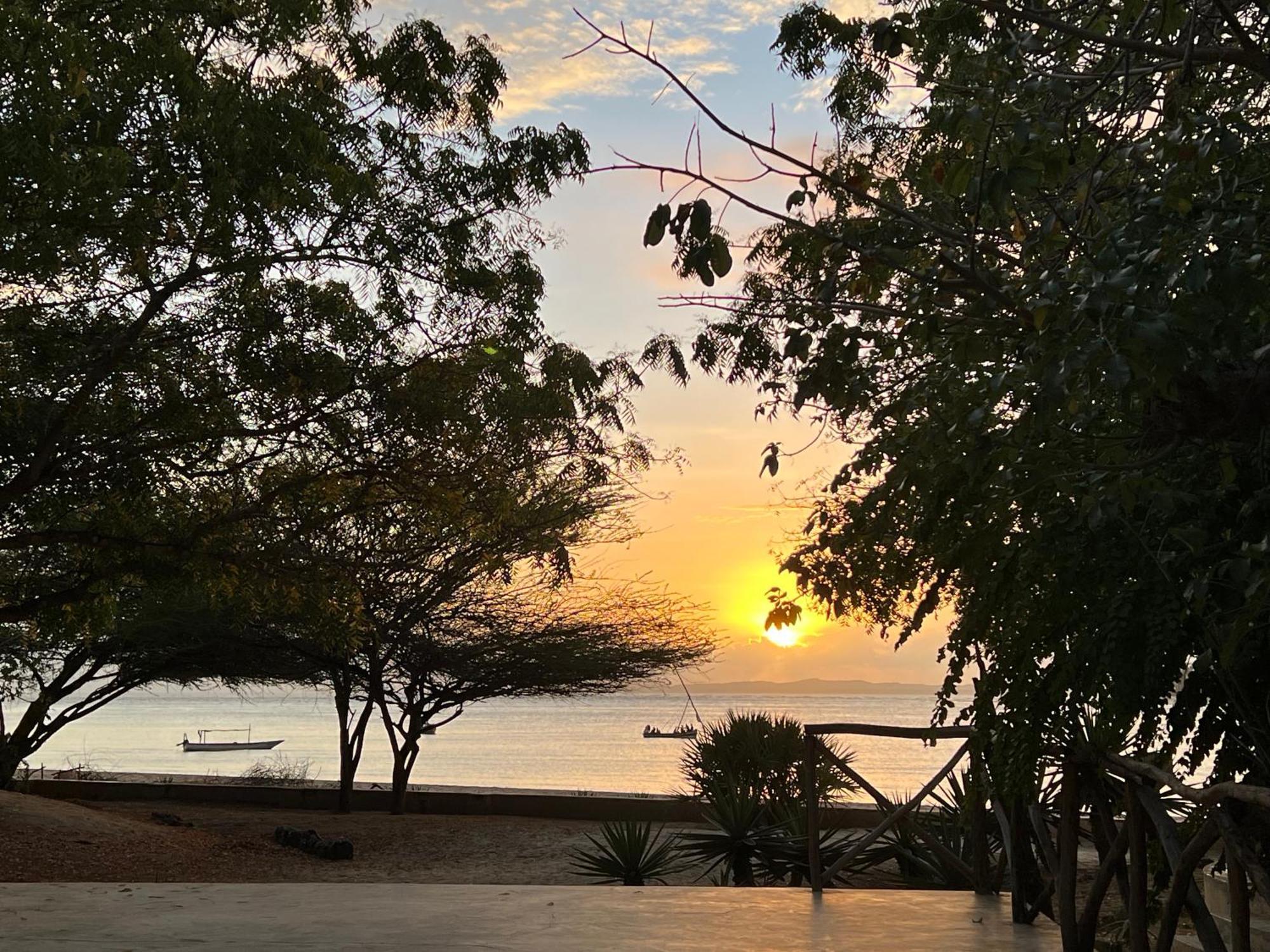 Mangrove House Hotell Lamu Exteriör bild