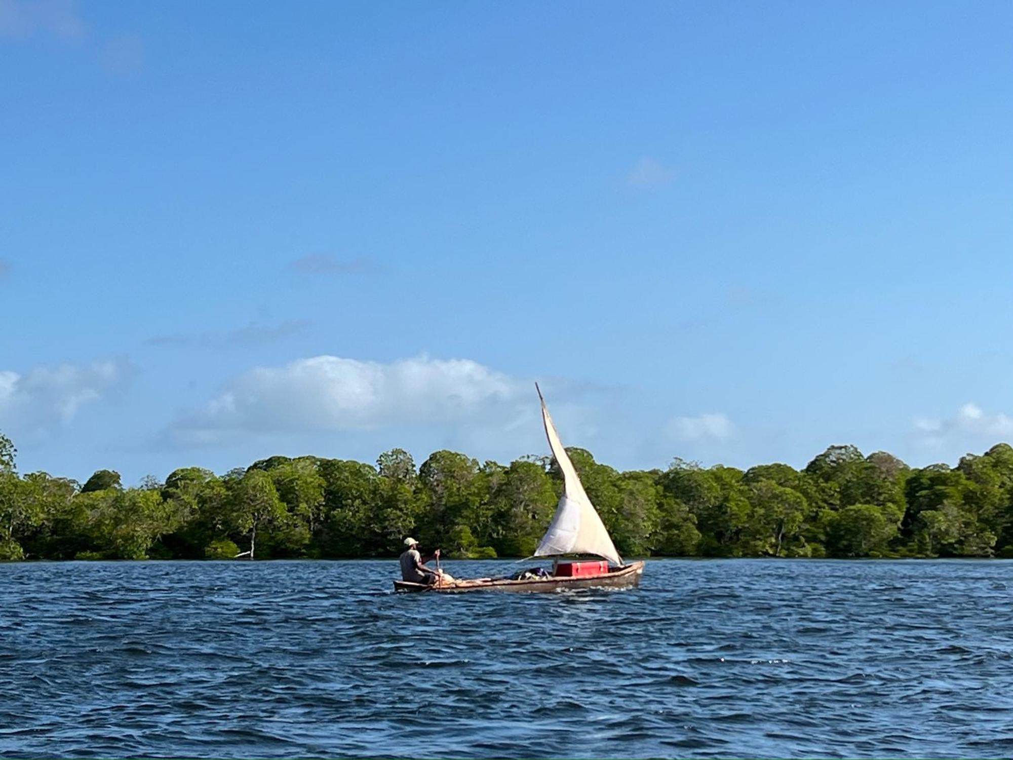 Mangrove House Hotell Lamu Exteriör bild