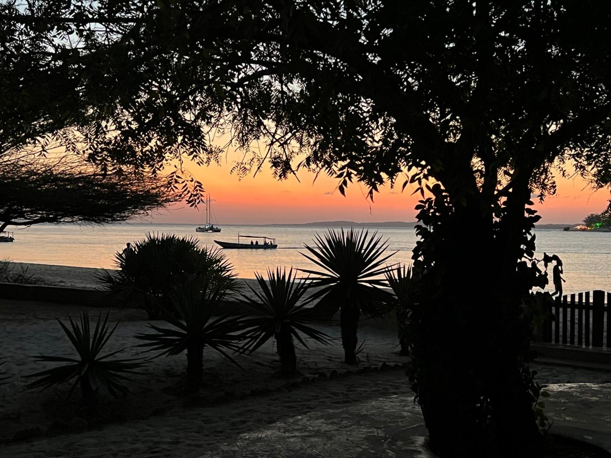 Mangrove House Hotell Lamu Exteriör bild