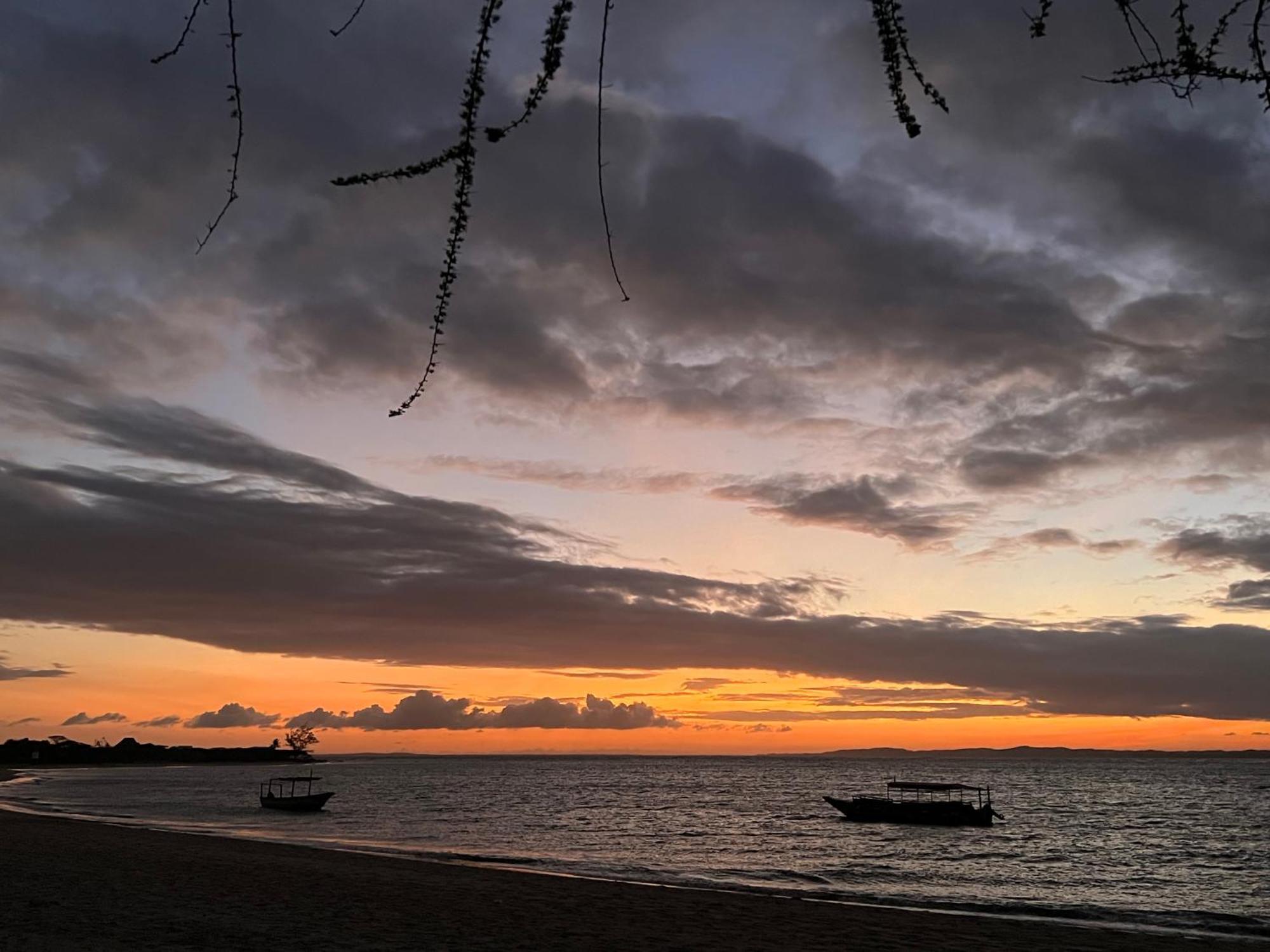 Mangrove House Hotell Lamu Exteriör bild