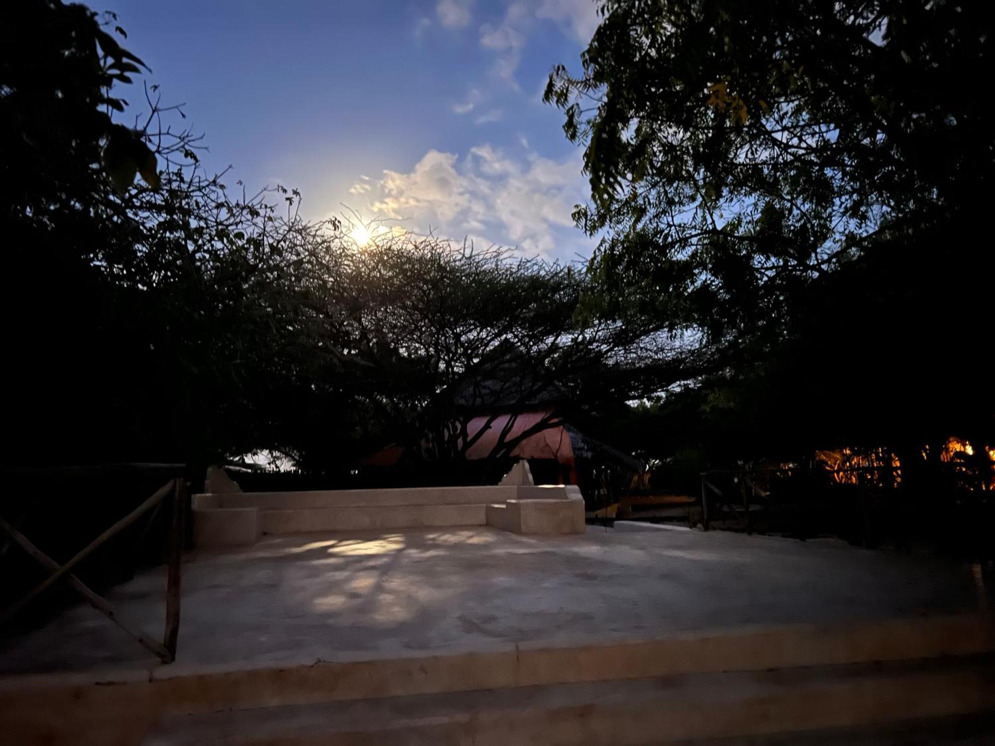 Mangrove House Hotell Lamu Exteriör bild