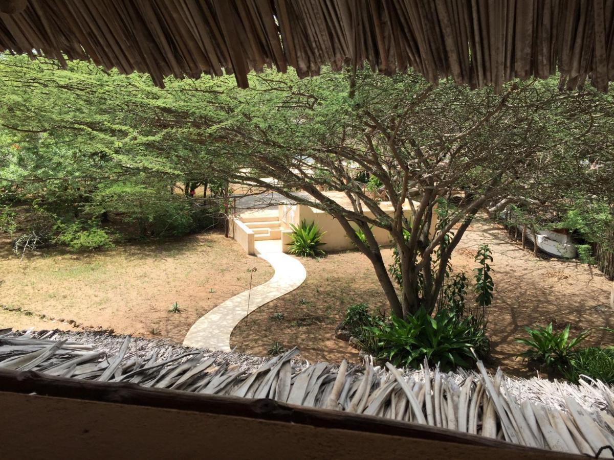 Mangrove House Hotell Lamu Exteriör bild